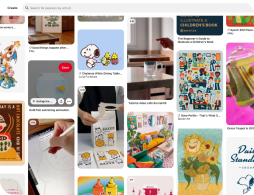 introduce pinterest video downloader